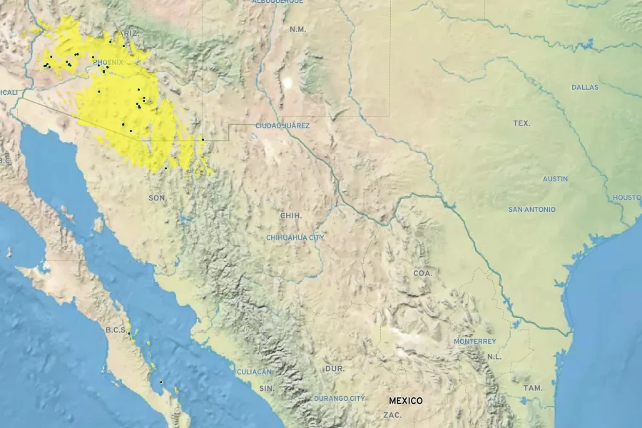 Forestiera shrevei Native Range