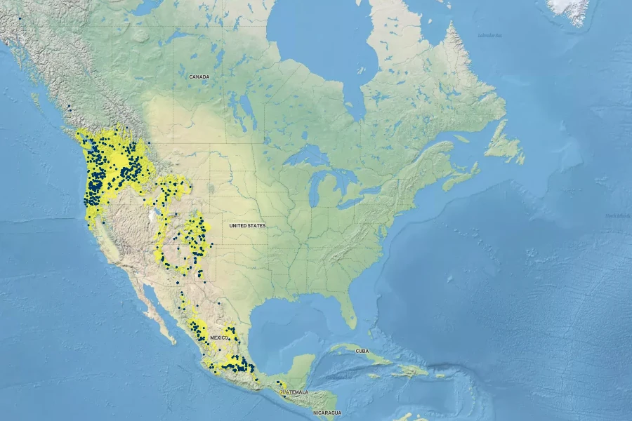 Fragaria bracteata Native Range