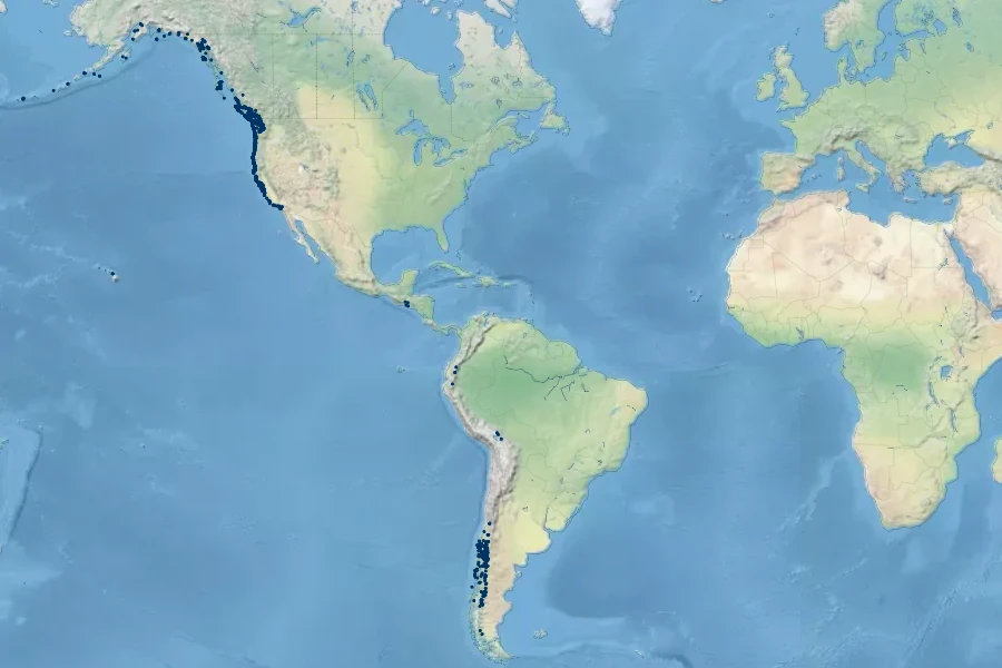 Fragaria chiloensis Native Range