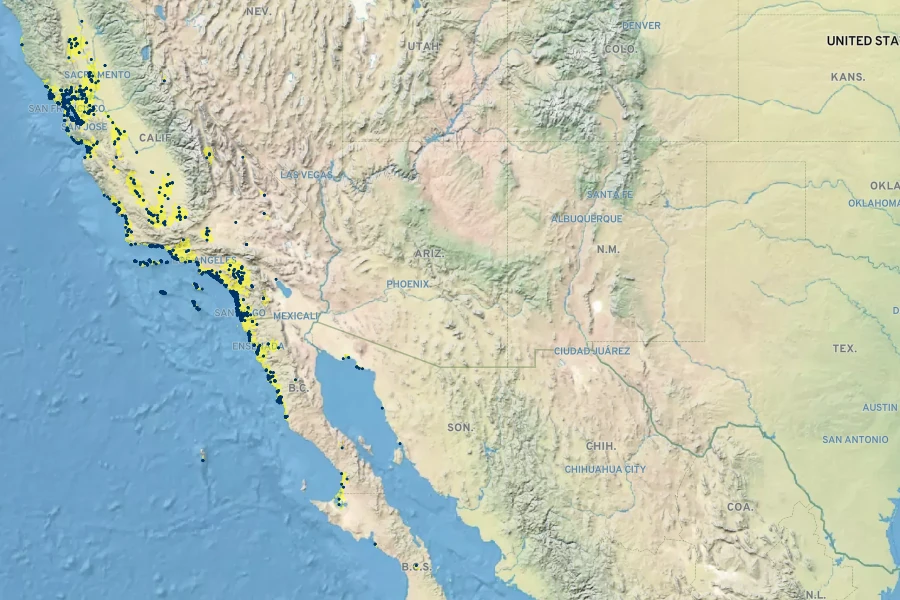 Frankenia salina Native Range