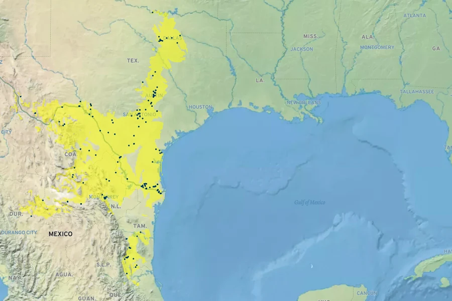Fraxinus berlandieriana Native Range
