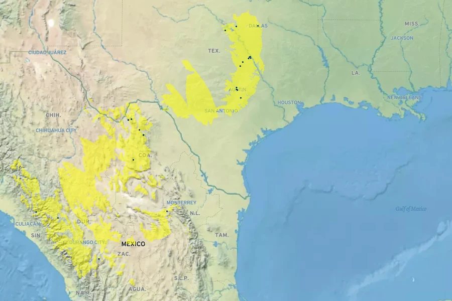 Fraxinus texensis Native Range