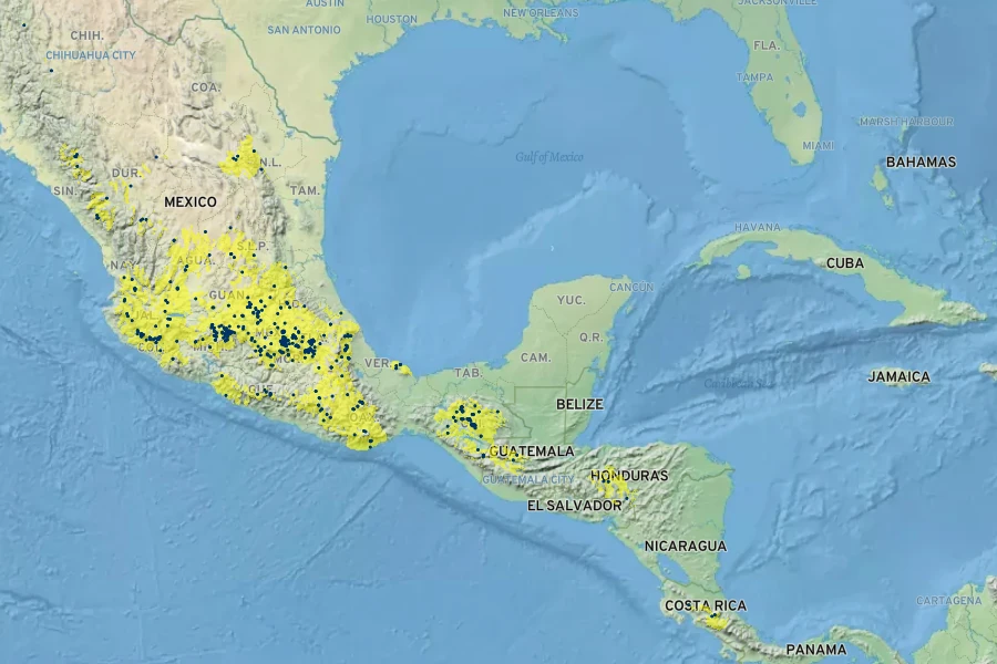 Fraxinus uhdei Native Range