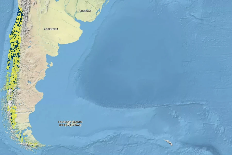 Fuchsia magellanica Native Range