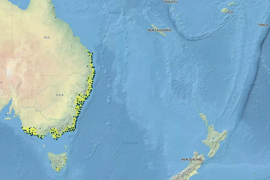 Gahnia clarkei Native Range