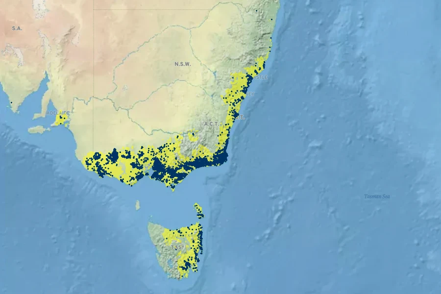 Gahnia radula Native Range