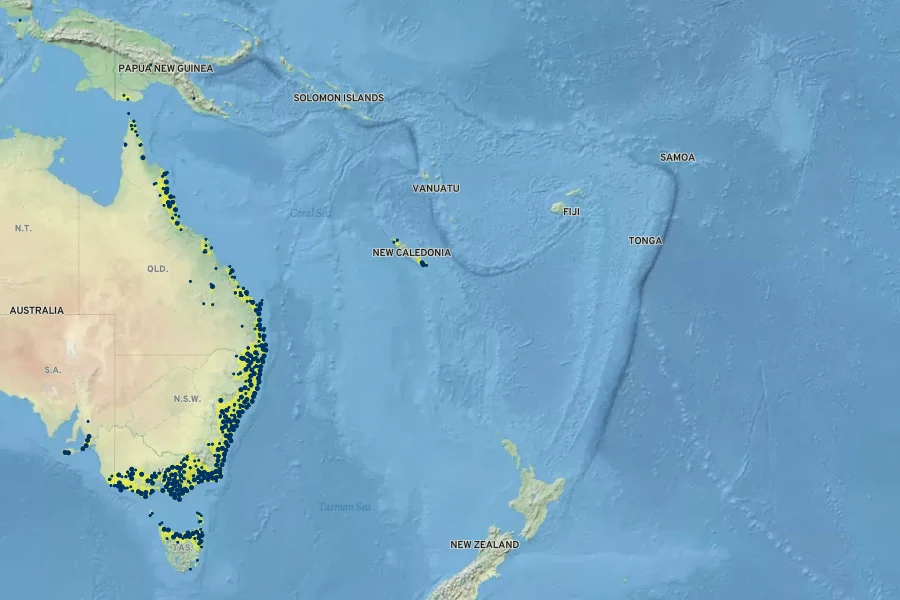 Gahnia sieberiana Native Range