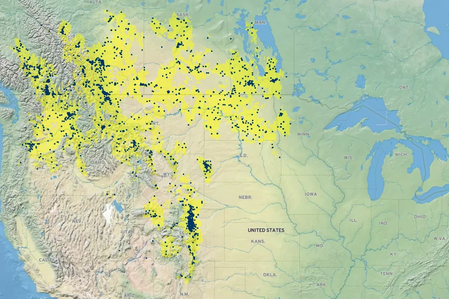 Gaillardia aristata Native Range