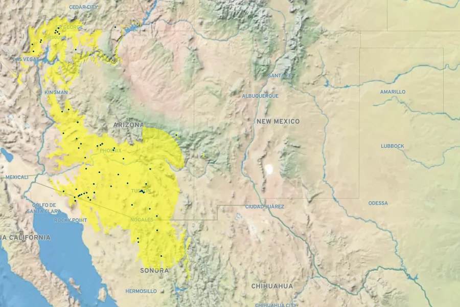 Gaillardia arizonica Native Range