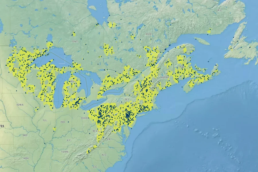 Galium asprellum Native Range