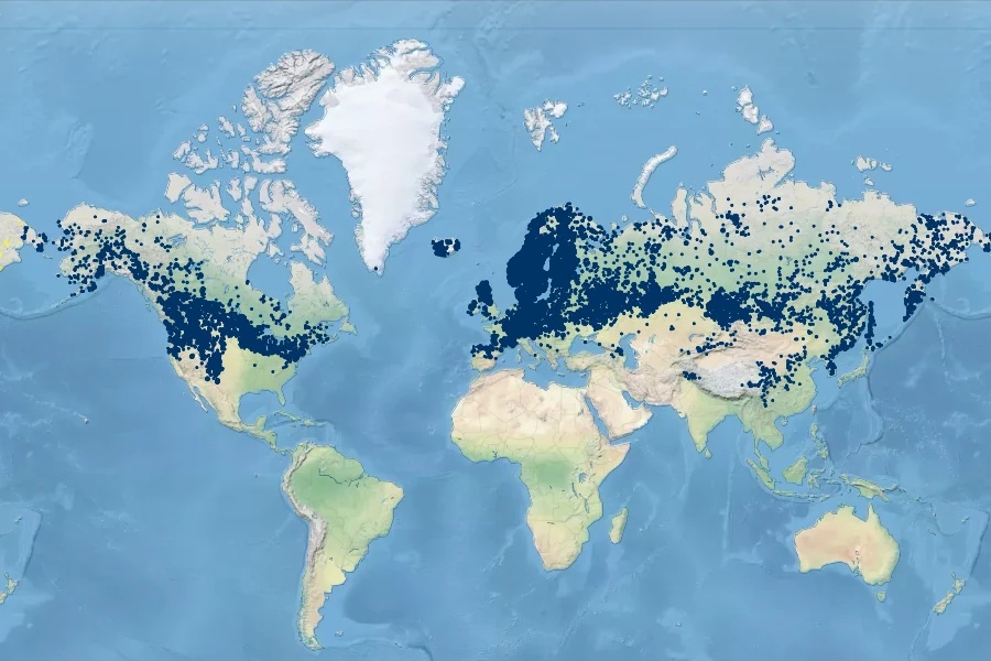 Galium boreale Native Range