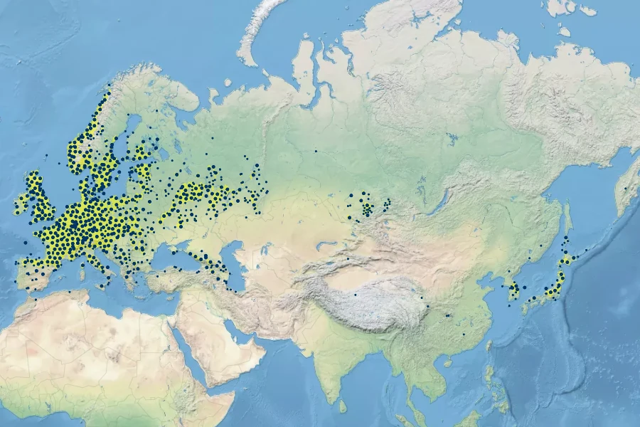 Galium odoratum Native Range