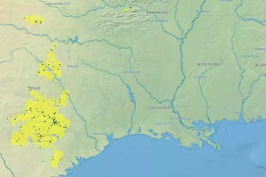 Galium texense Native Range