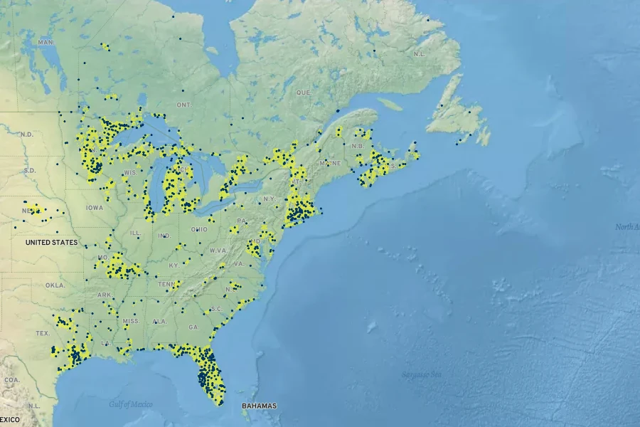 Galium tinctorium Native Range