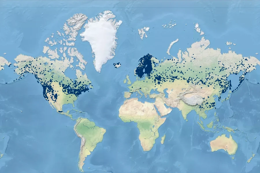Galium trifidum Native Range
