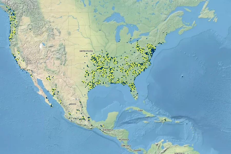 Gamochaeta purpurea Native Range