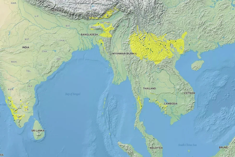 Garcinia xanthochymus Native Range