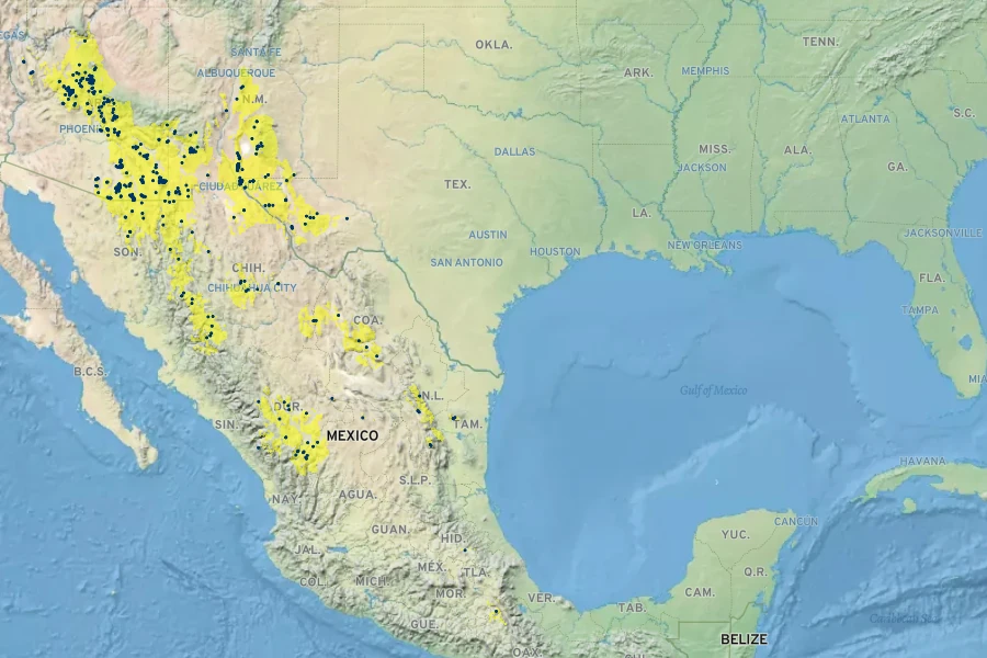 Garrya wrightii Native Range