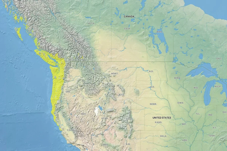 Gaultheria shallon Native Range
