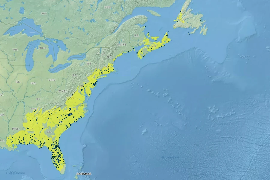 Gaylussacia dumosa Native Range
