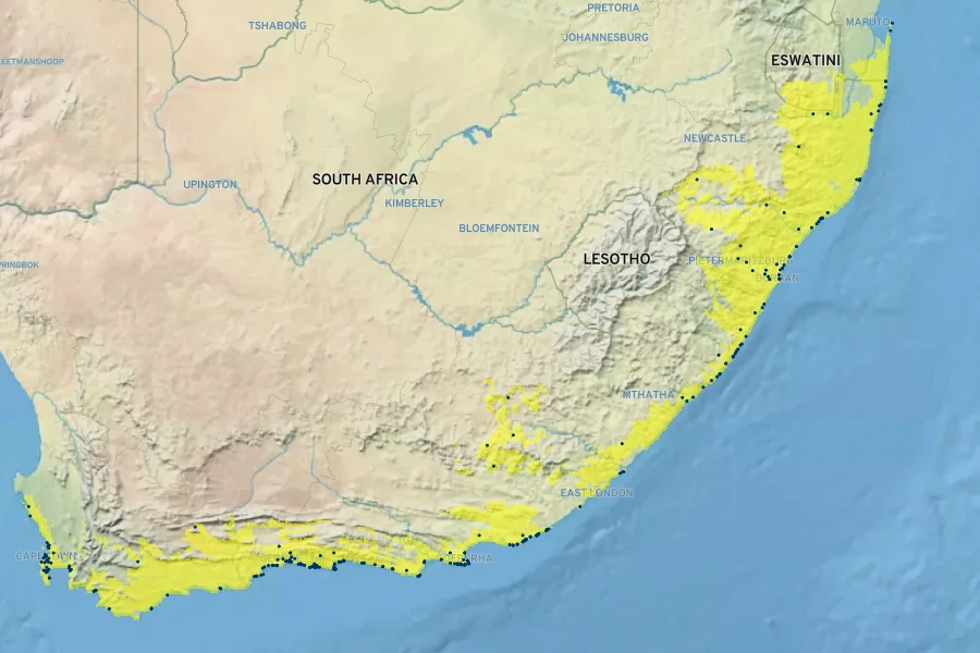Gazania rigens Native Range