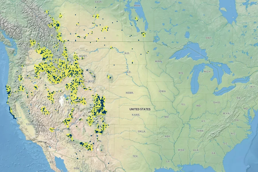 Gentiana affinis Native Range