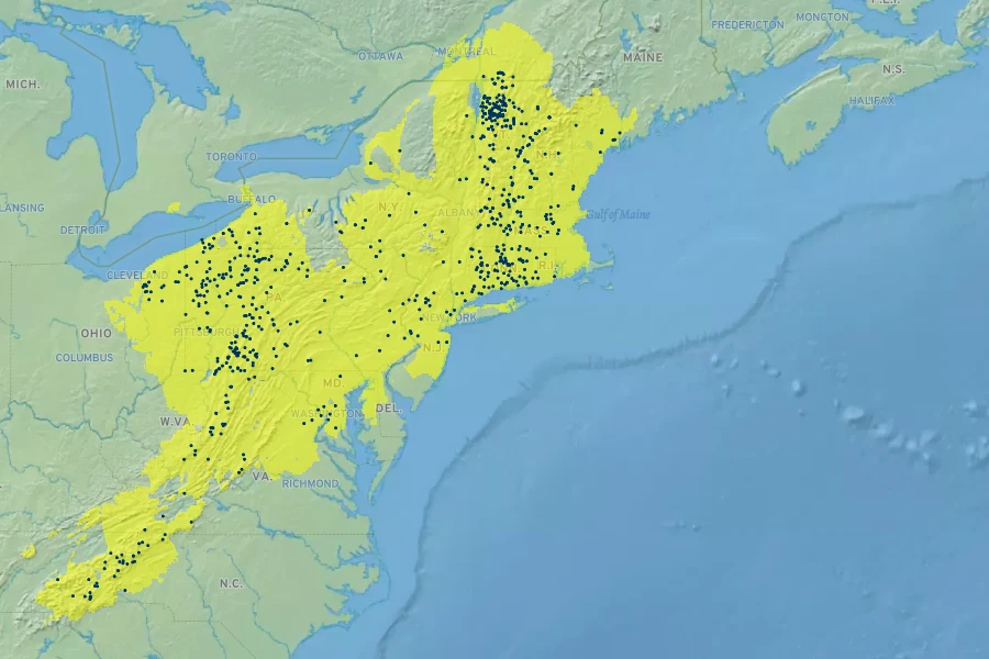 Gentiana clausa Native Range
