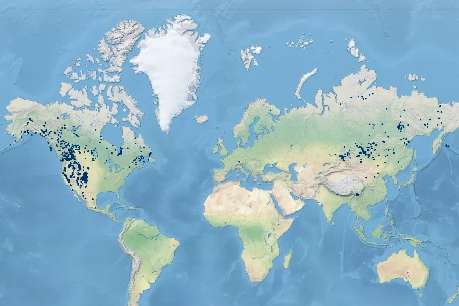 Gentianella amarella subsp. acuta Native Range