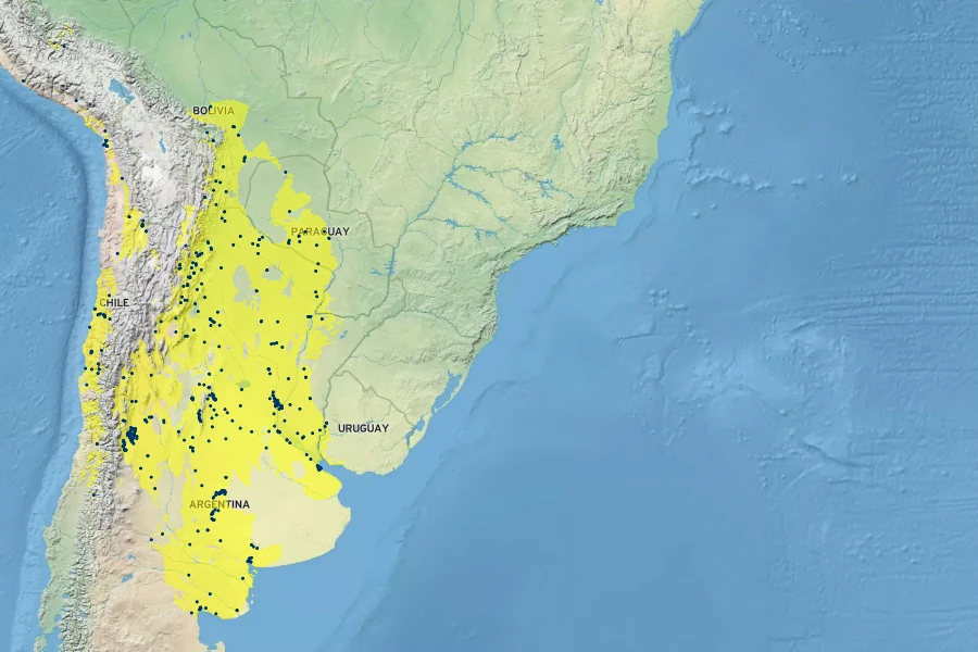 Geoffroea decorticans Native Range