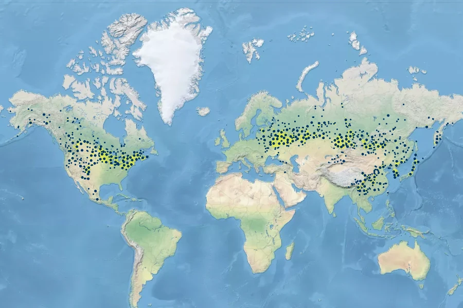 Geum aleppicum Native Range