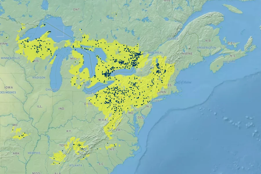 Geum fragarioides Native Range