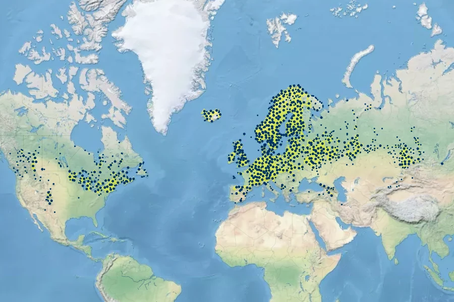 Geum rivale Native Range