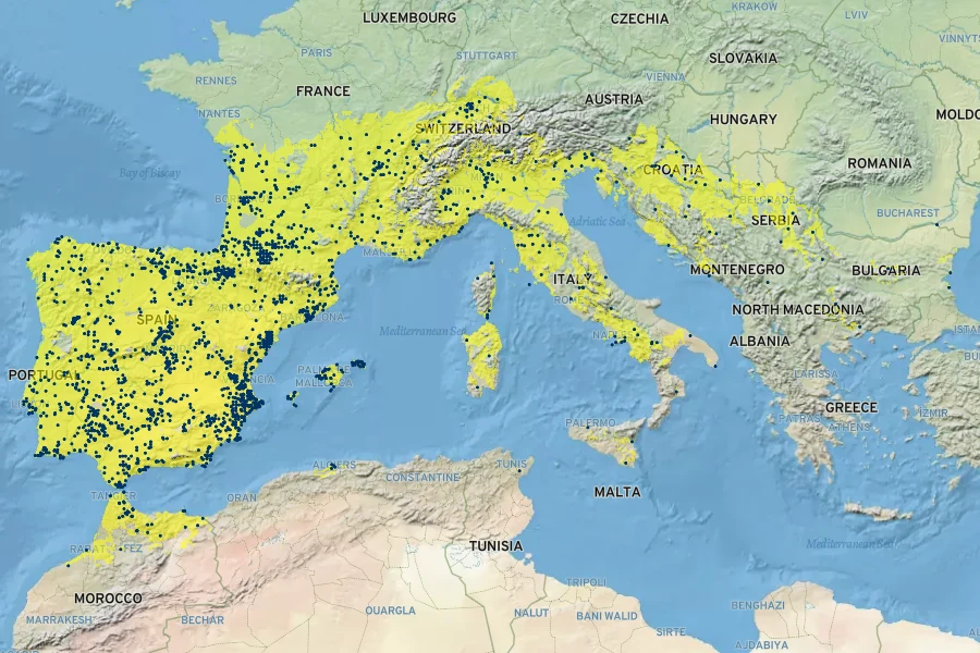 Gladiolus communis Native Range
