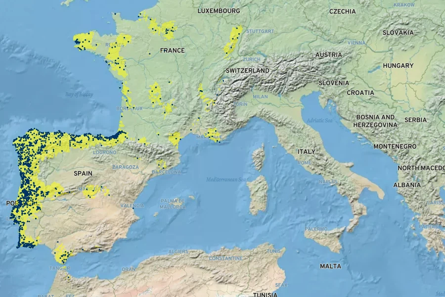 Glandora prostrata Native Range