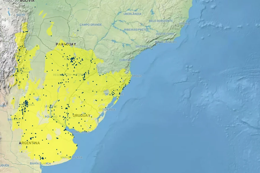 Glandularia peruviana Native Range
