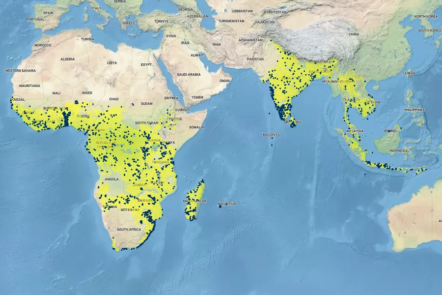 Gloriosa superba Native Range