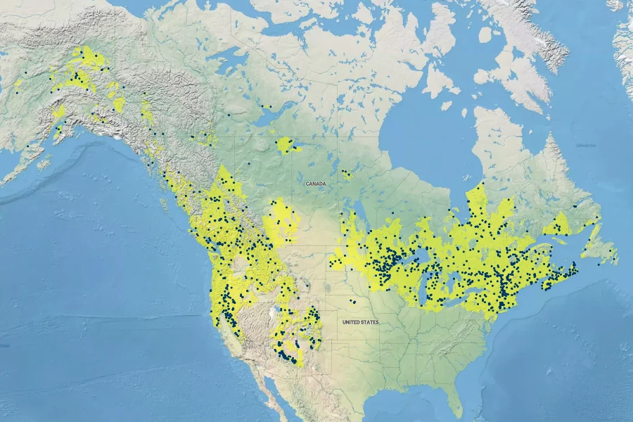 Glyceria borealis Native Range