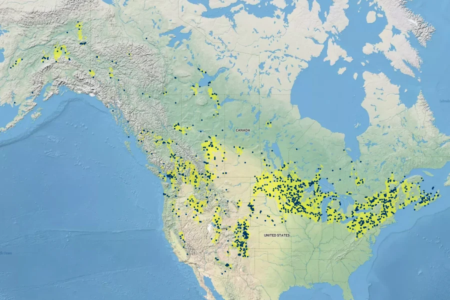 Glyceria grandis Native Range