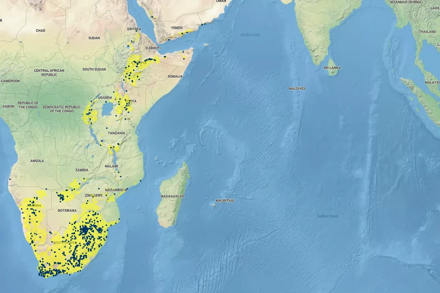 Gomphocarpus fruticosus Native Range