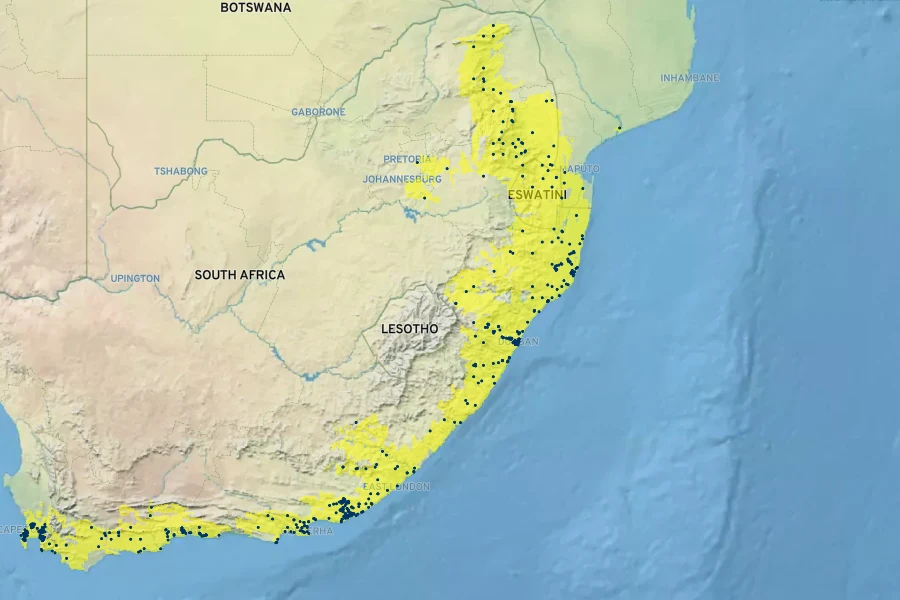 Gomphocarpus physocarpus Native Range