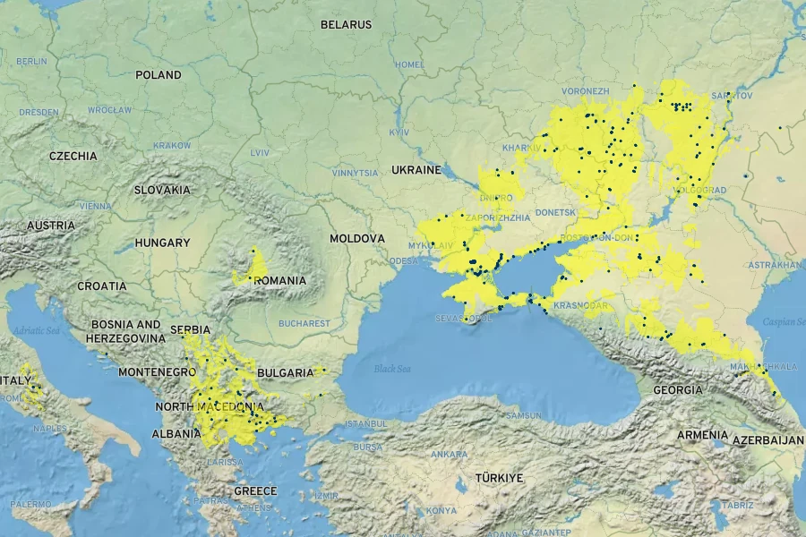 Goniolimon tataricum Native Range