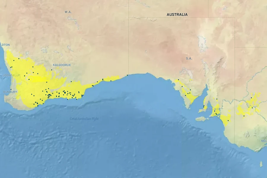 Goodenia affinis Native Range