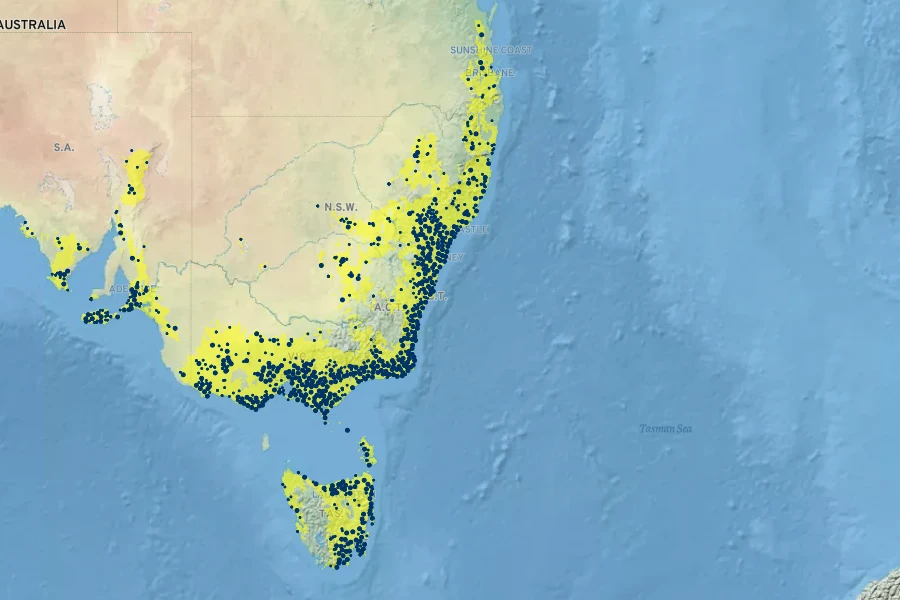 Goodenia ovata Native Range