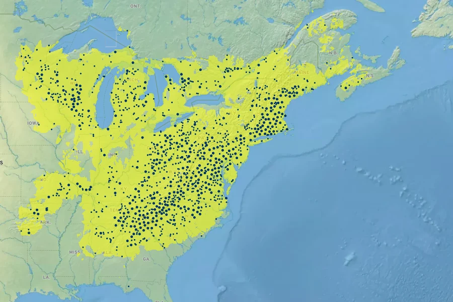 Goodyera pubescens Native Range