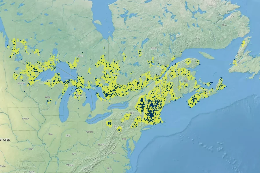 Goodyera tesselata Native Range