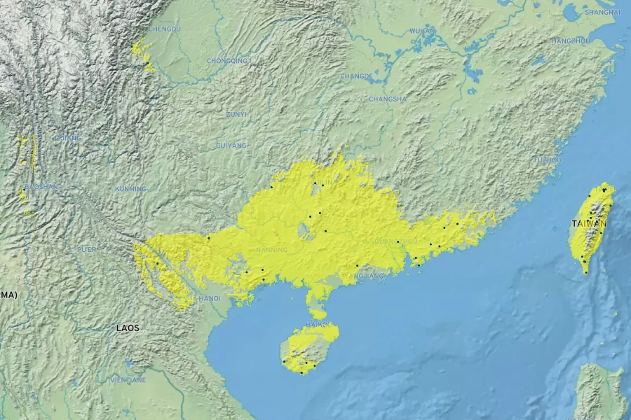 Gordonia axillaris Native Range