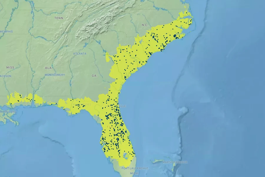 Gordonia lasianthus Native Range
