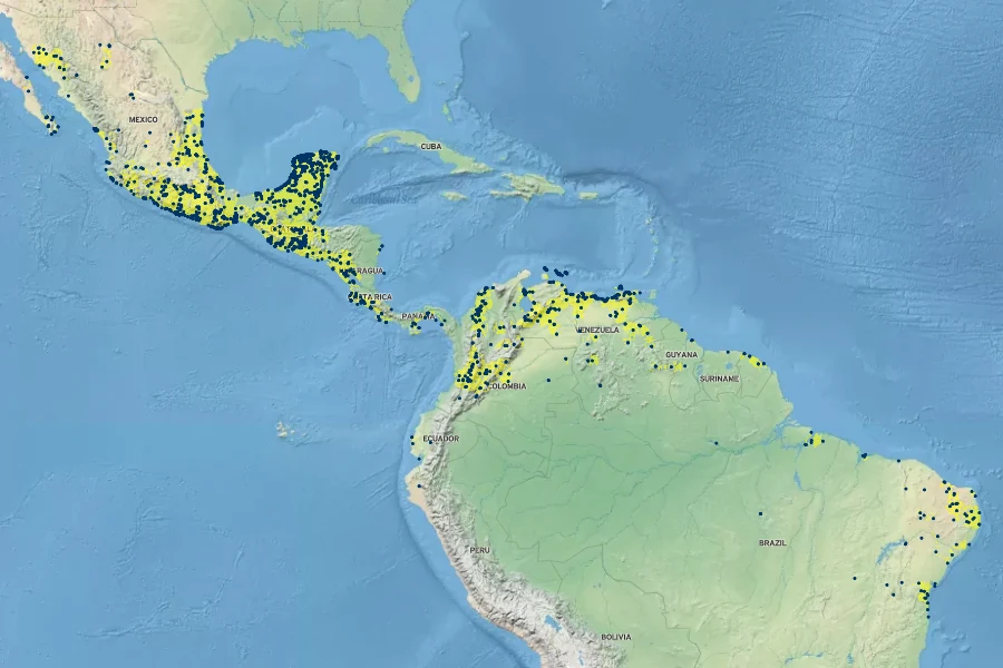 Gossypium hirsutum Native Range