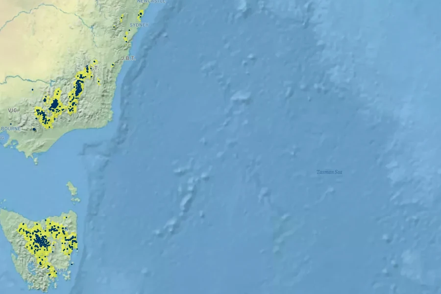 Grevillea australis Native Range
