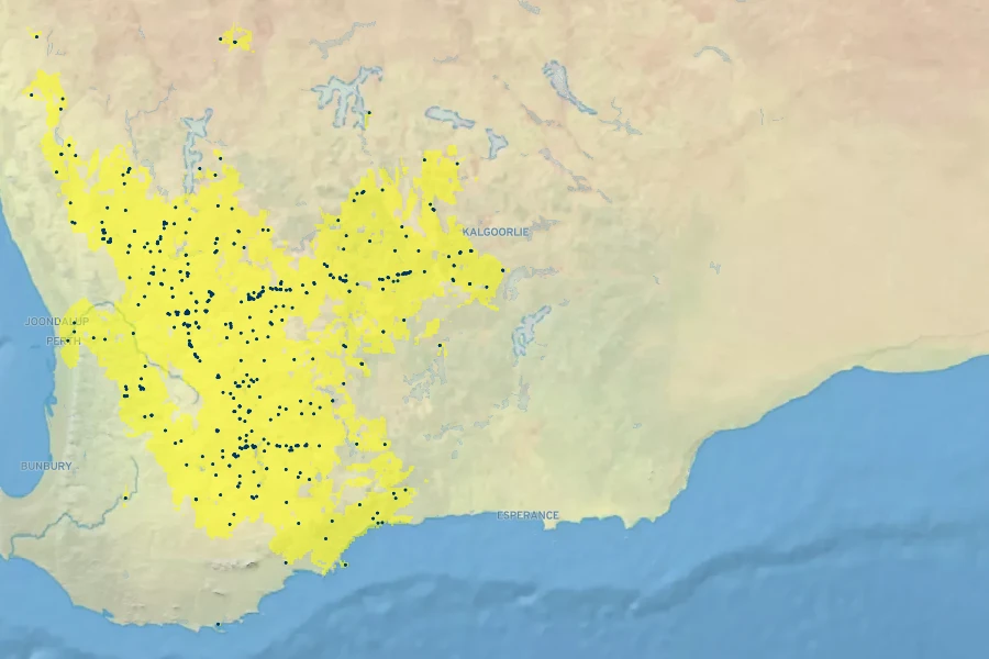 Grevillea hookeriana Native Range